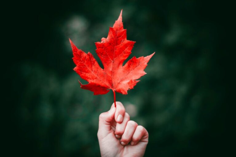 The maple leaf